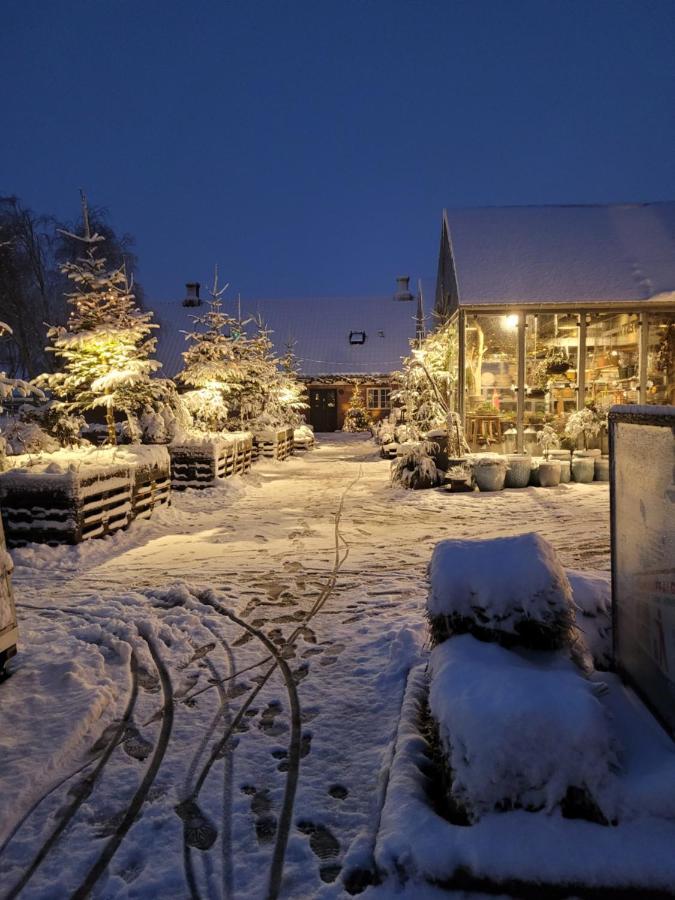 Det Bla Gaestehus Fano Bagian luar foto